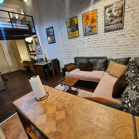 Appartamento Authentic Belgrade Centre - Split Level Loft With Patio In Courtyard Esterno foto